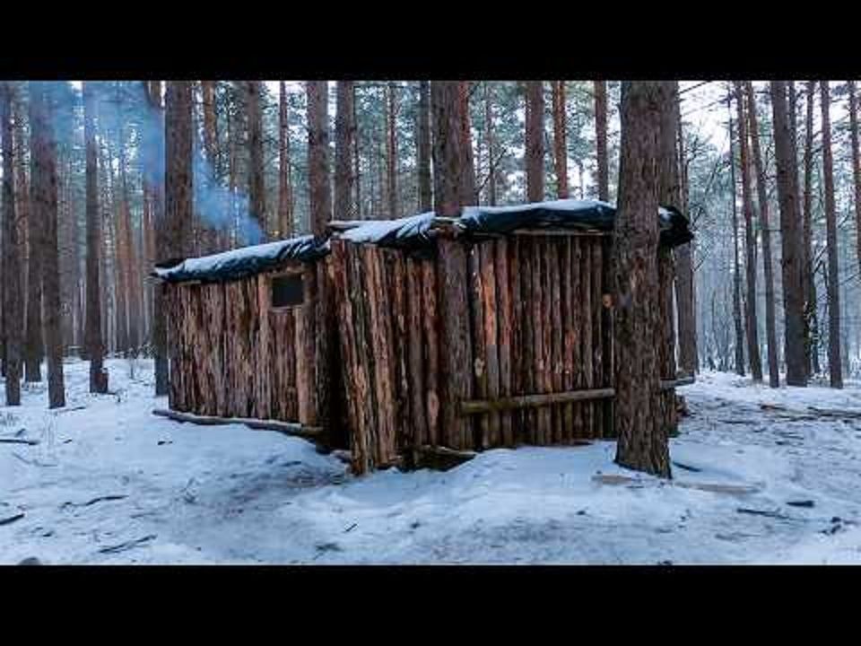 【Life in the Wild】我的第一个小屋的故事,在树林里建了一个庇护所,一年后把它烧毁了哔哩哔哩bilibili