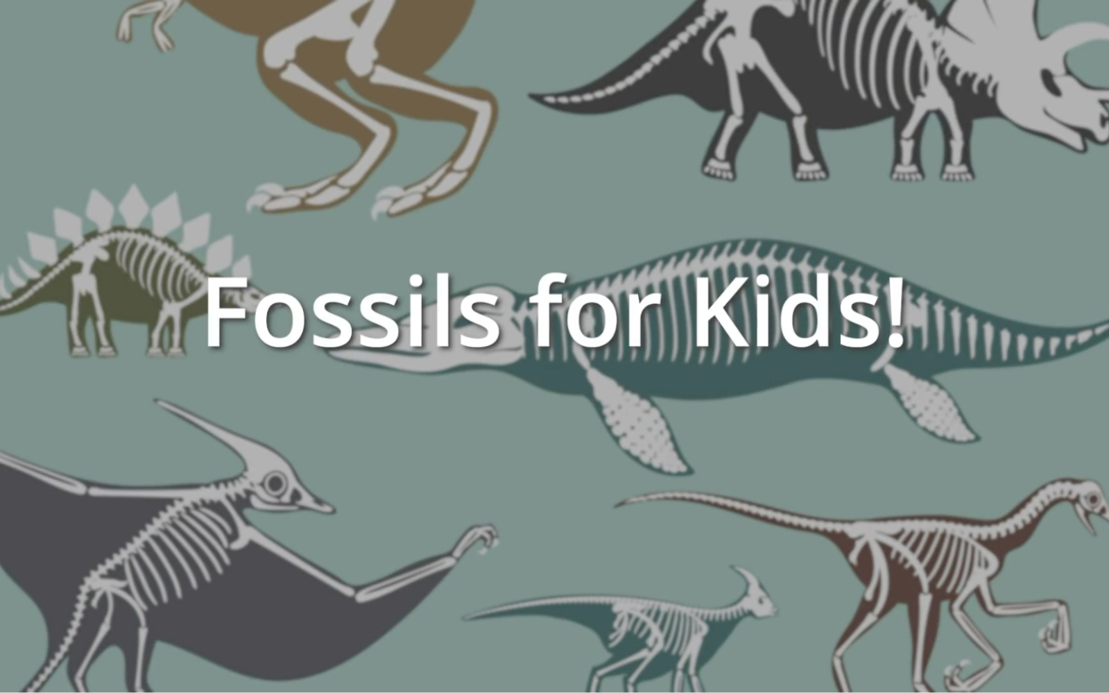 【SCIENCE FOR KIDS】儿童科学:Fossils 化石哔哩哔哩bilibili