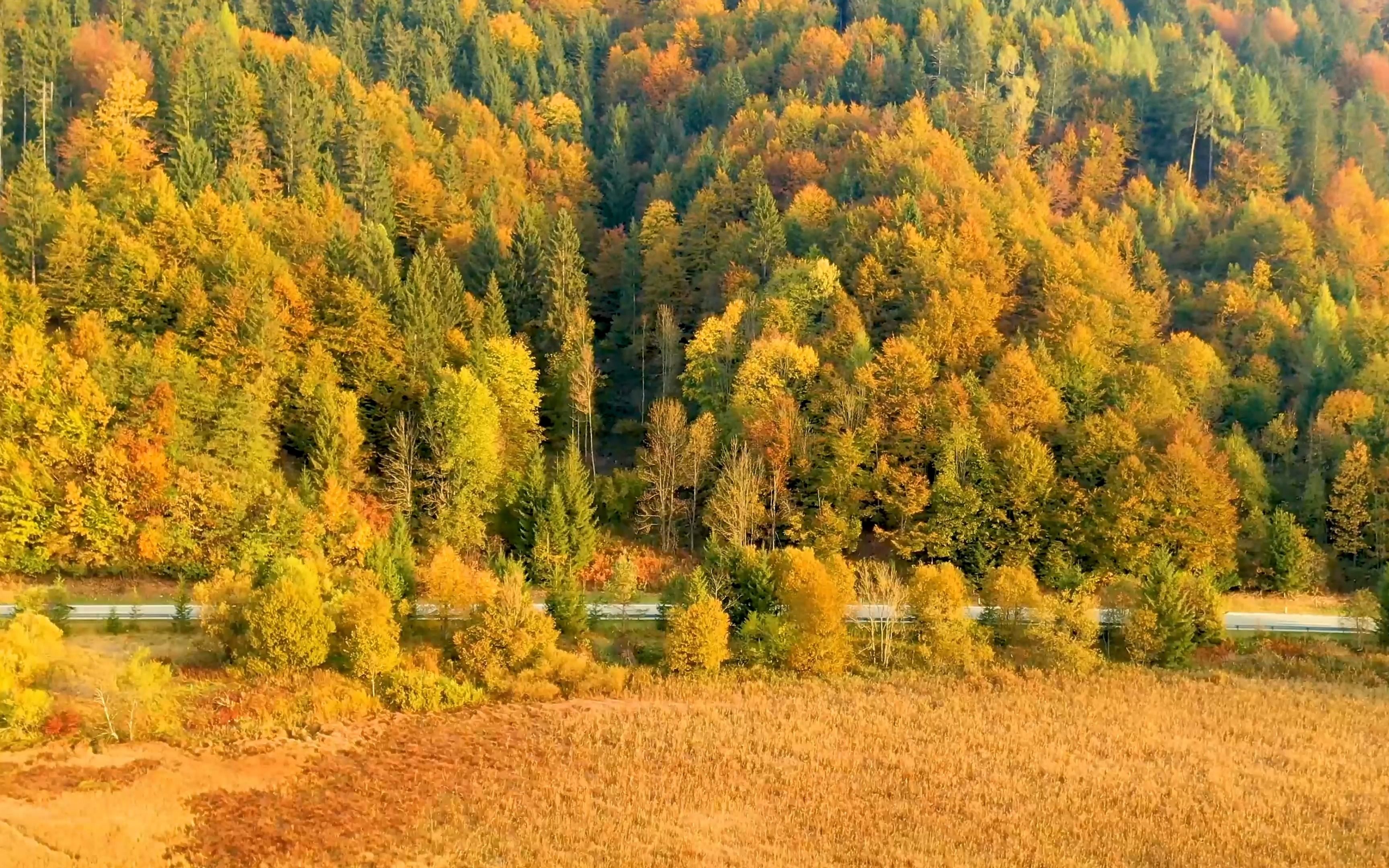 [图]世事一场大梦，人生几度秋凉。秋天了，往事随风