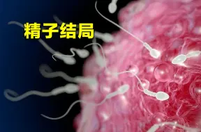 Download Video: 女性体内没有成功“受精”的精子，最后都去哪了？看完涨知识了！