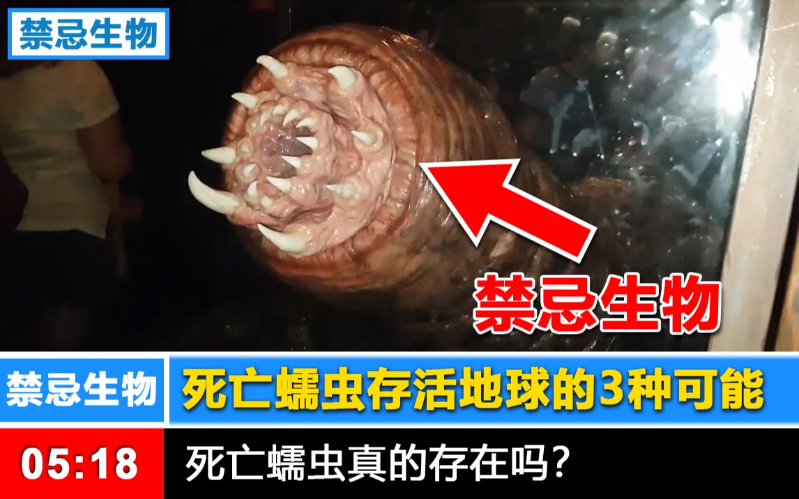 【禁忌生物】让人类瞬间灭亡的蒙古死亡蠕虫