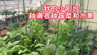 反复种菜的泥土 这样处理 杀菌消毒又变营养土 种菜特别好 哔哩哔哩 Bilibili 反复种菜的泥土 这样处理 杀菌消毒又变营养土 种菜特别好 哔哩哔哩 Bilibili