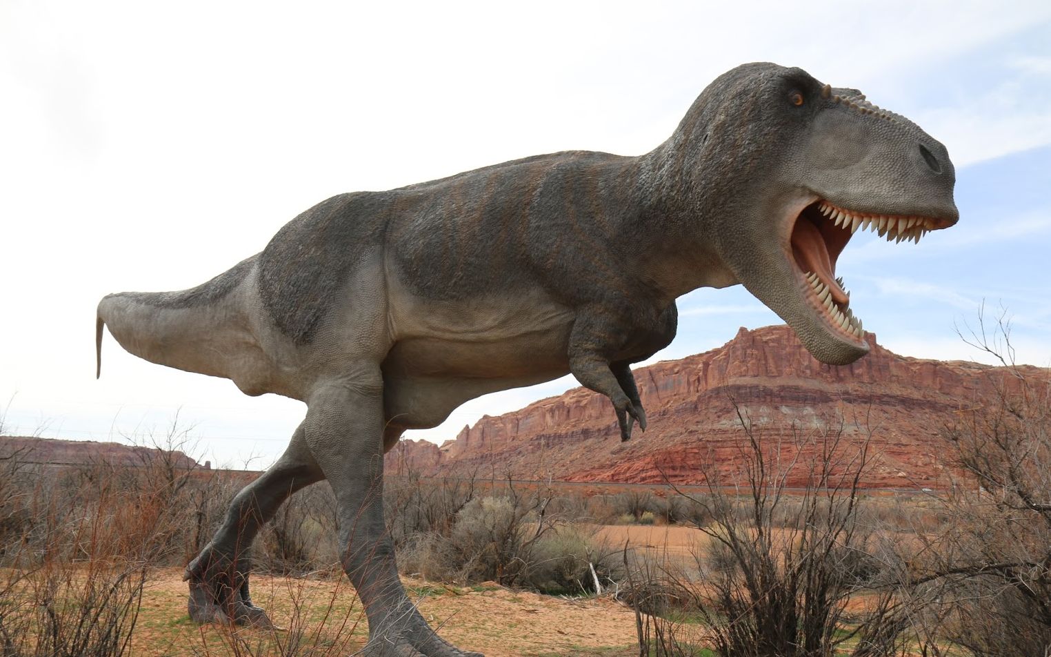 moab giants - exploring a dinosaur park and museum in moab, utah