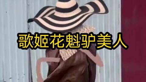 歌姬花魁驴美人 哔哩哔哩 歌姬花魁驴美人 哔哩哔哩