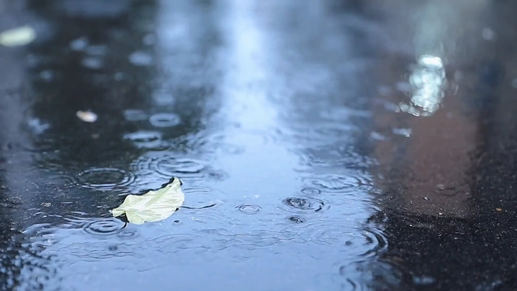 [图]一场烟雨一楼台