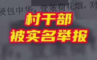 镇纪委书记回应村干部被实名举报一事哔哩哔哩bilibili