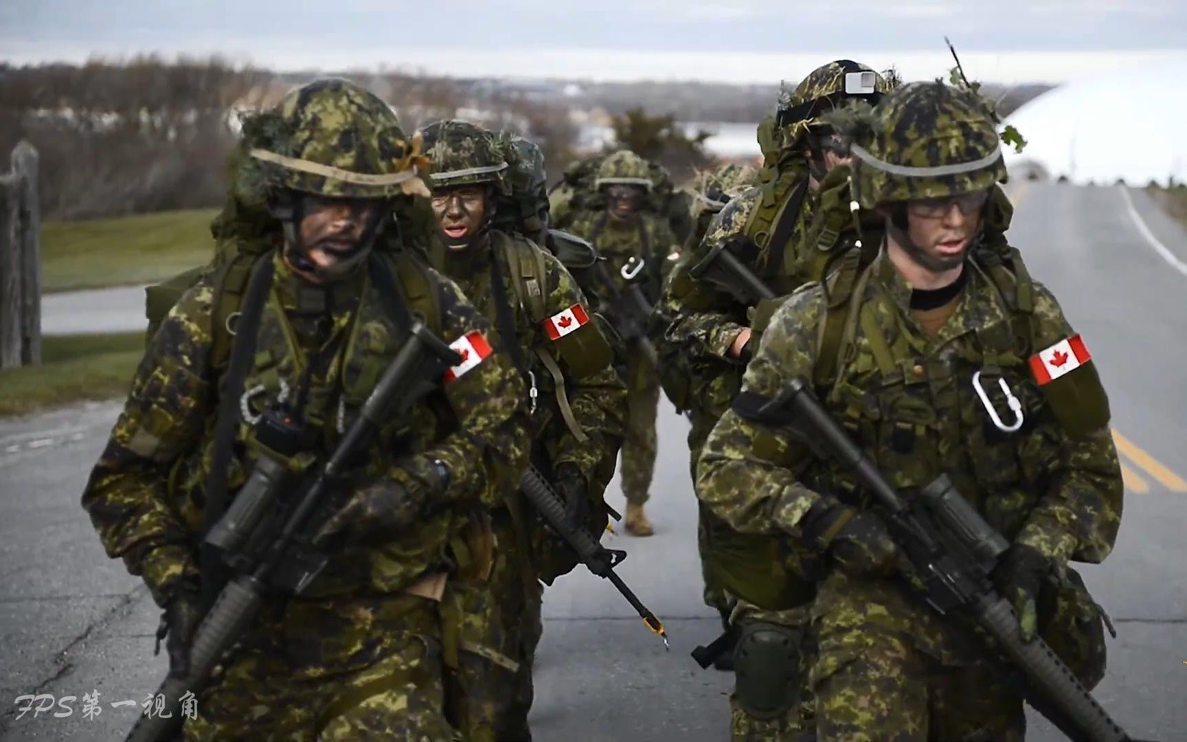 加拿大军事实力图片