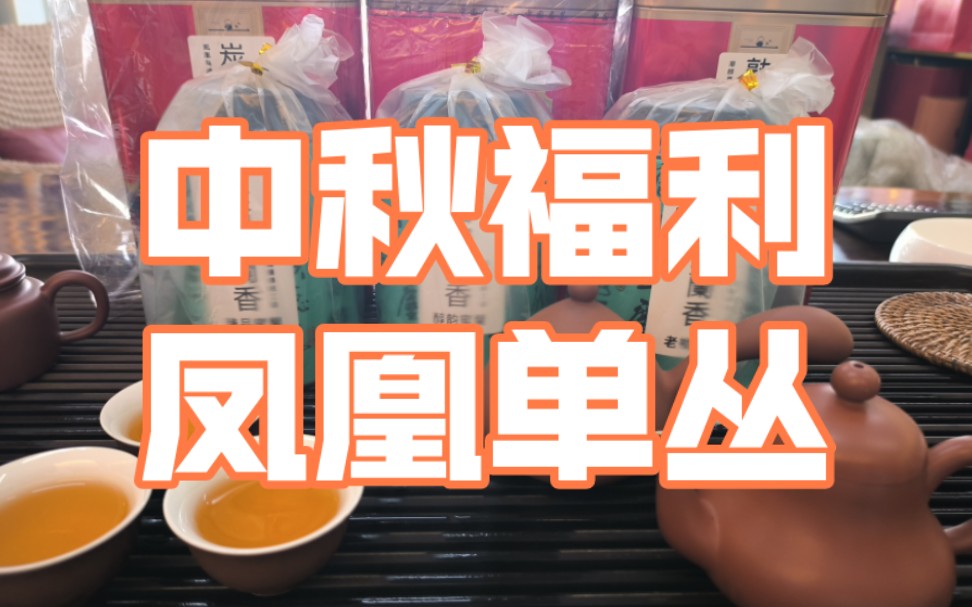 【中秋&国庆福利开启】凤凰单丛茶,喜欢单丛茶的,特别是想要品饮传统炭焙单丛茶的茶友不可错过机会哦.哔哩哔哩bilibili