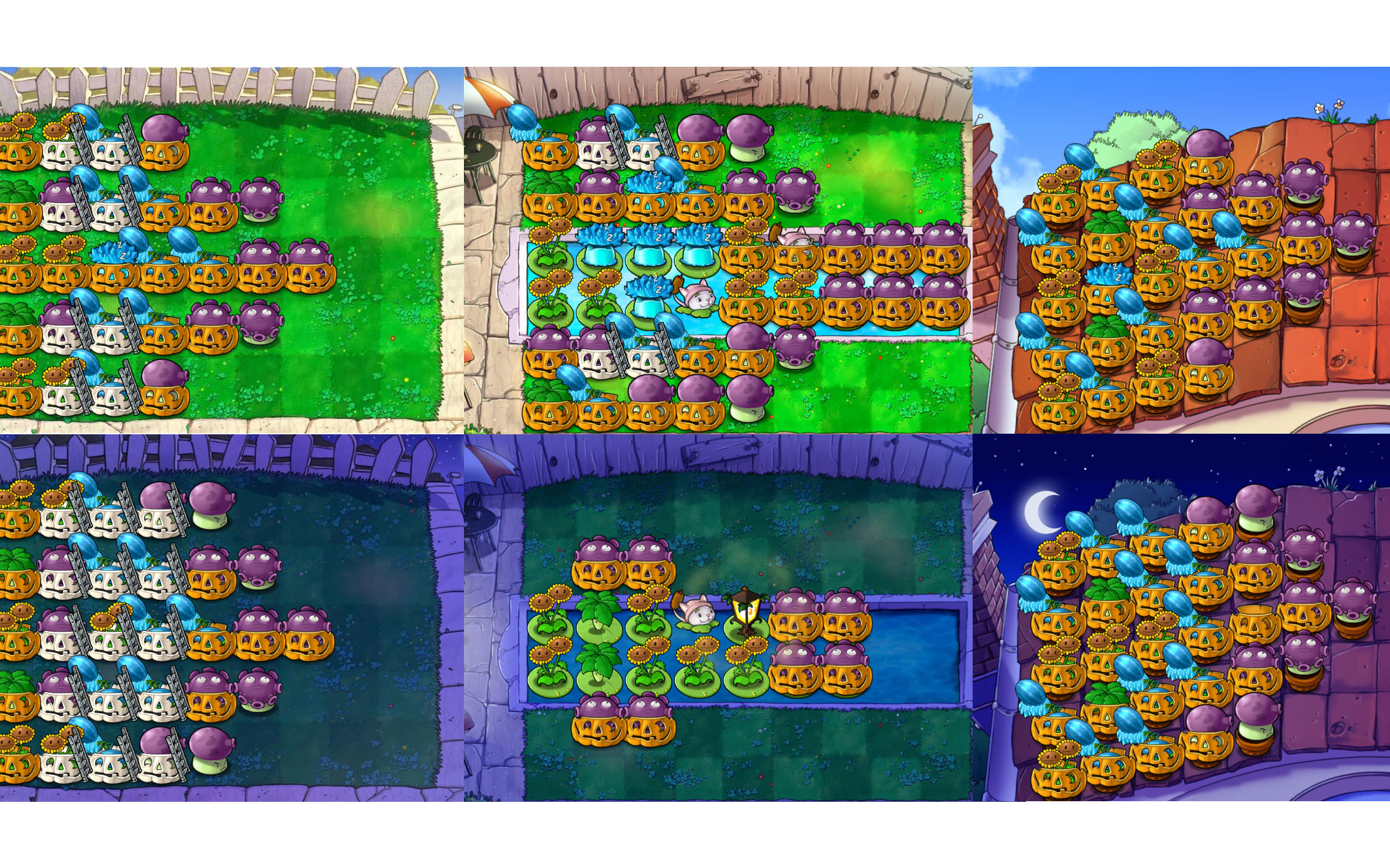 【pvz生存无尽】六大场地新手入门无炮阵型