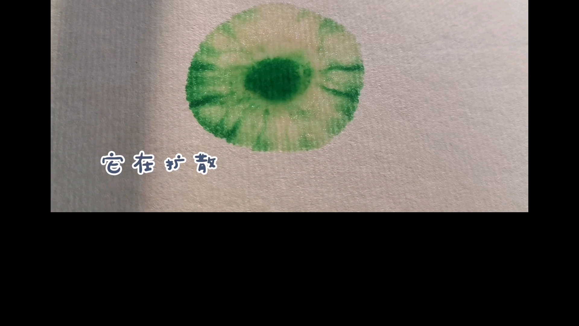 超简单画荷叶哔哩哔哩bilibili