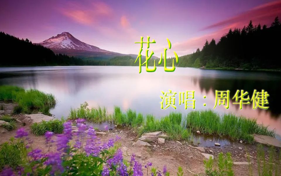 花心歌曲(花心歌曲是哪一年的歌)