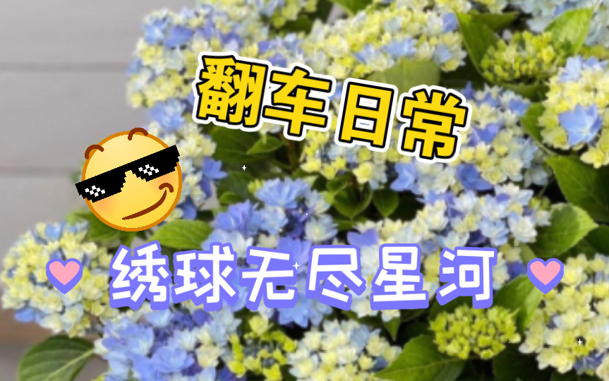 [图]［花园鳗日常］翻车之绣球无尽星河