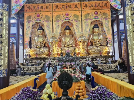 五浊众生离尘垢同证如来净法身南无本师释迦牟尼佛[合十][合十][合十]