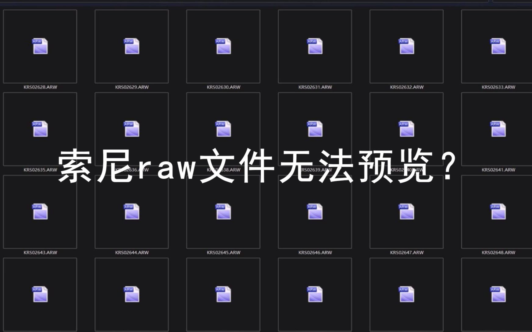 [图]关于索尼raw文件预览缩略图的一切