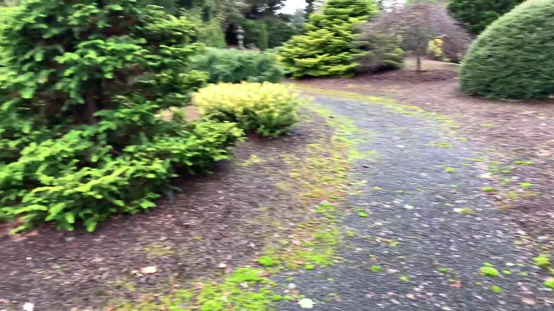 [图]Winter Conifer Garden. Take a walk with us through the Iseli Nursery Gardens.