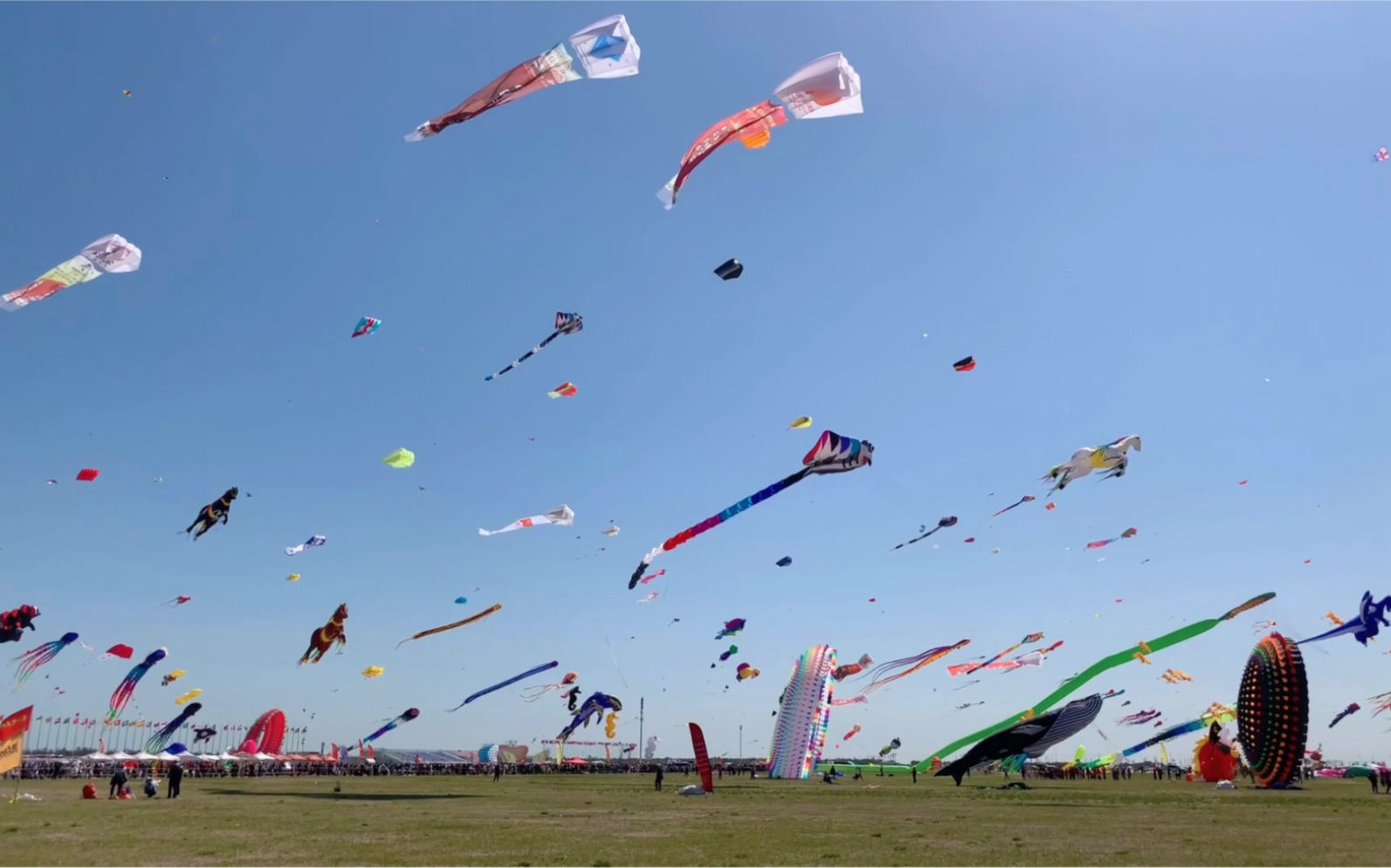 2021潍坊风筝节09一人两日幻游之旅春日限定