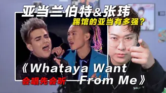 Download Video: 声乐老师锐评亚当兰伯特&张玮《Whataya Want From Me》，踢馆的亚当有多强？椰子老师乐感课|会唱先会听