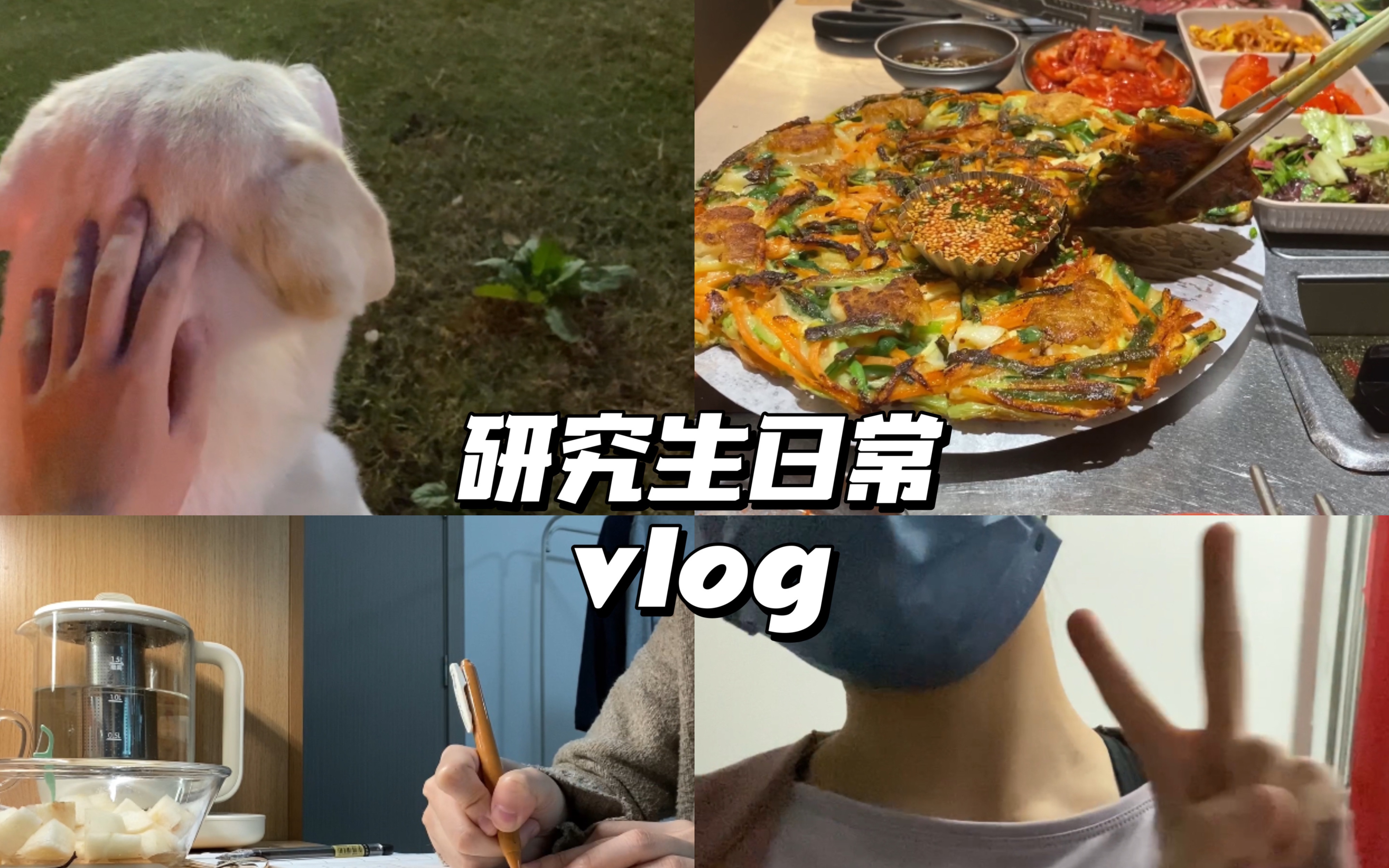 VLOG30 :所谓生活哔哩哔哩bilibili