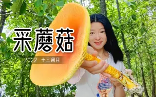 Tải video: 我手里这个艳丽的鹅膏菌你们敢吃吗？