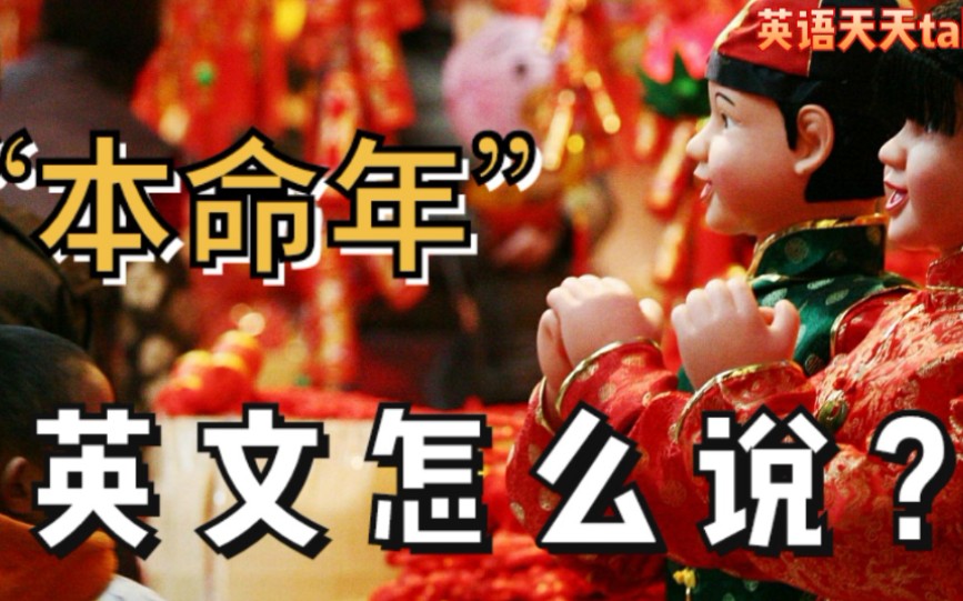 牛年“本命年”英文怎么说?Do you know哔哩哔哩bilibili