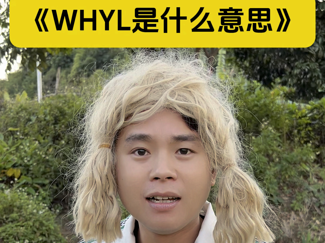 WHYL是什么意思?哔哩哔哩bilibili