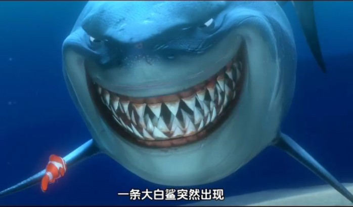 海底总动员解说