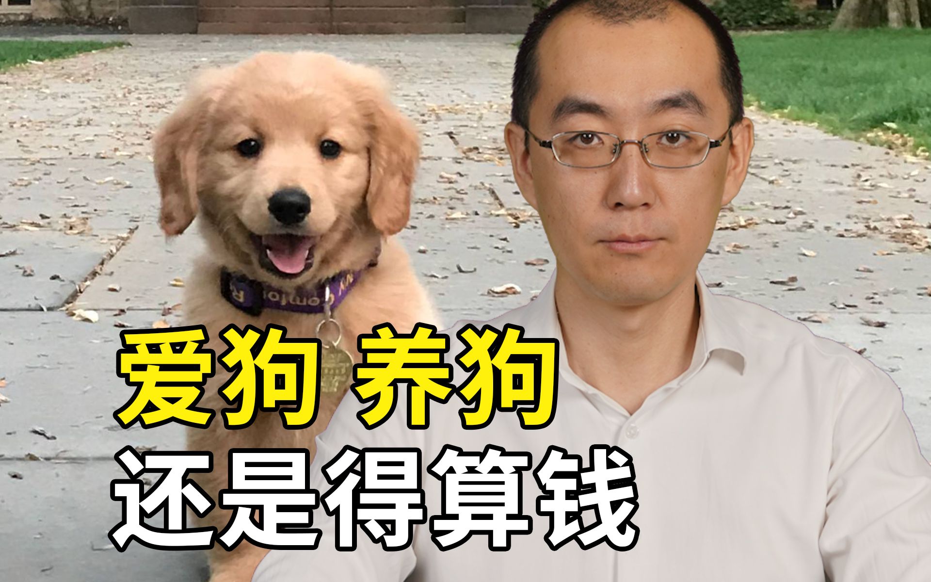 成都崇州烈犬伤人事件,还是得算钱哔哩哔哩bilibili