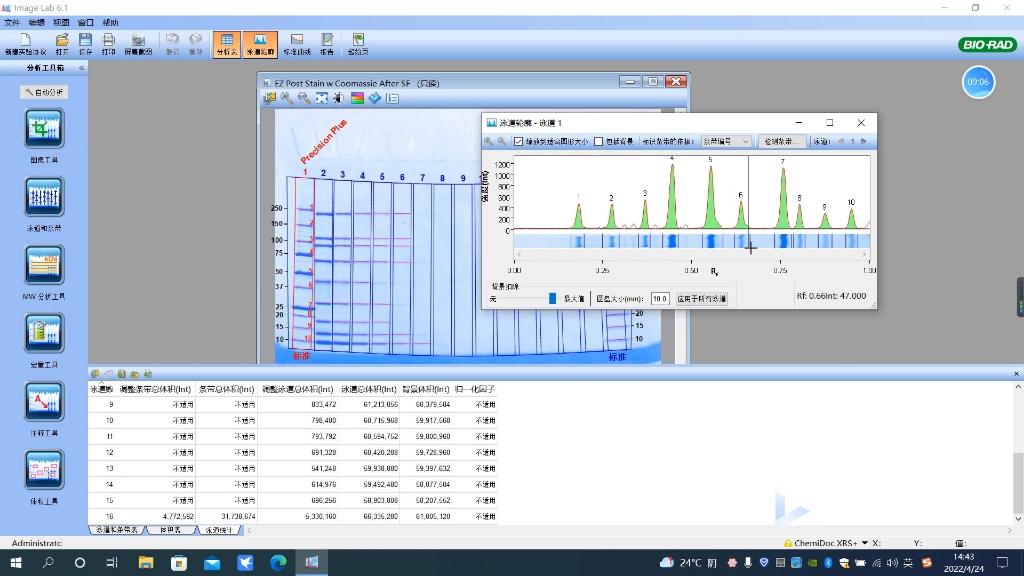 BioRad image lab 完全版使用教程哔哩哔哩bilibili