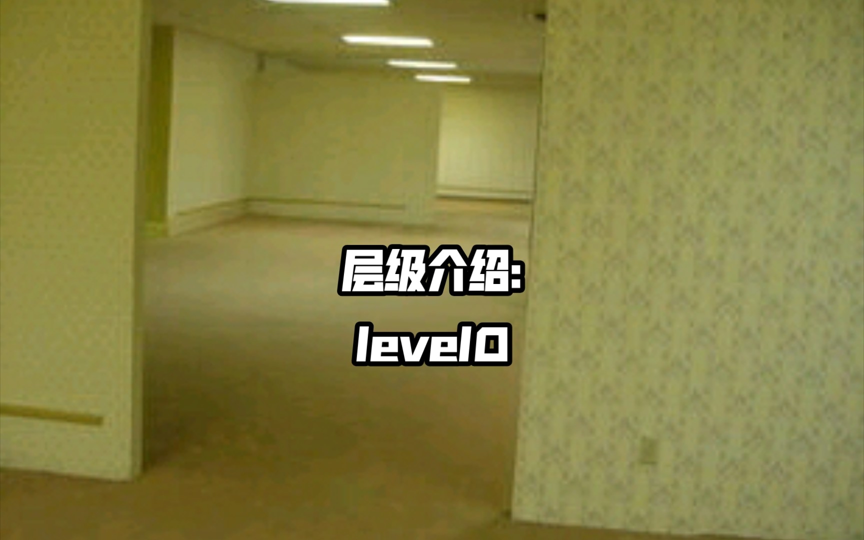 层级介绍:level0哔哩哔哩bilibili