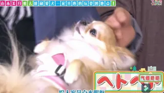 人不如狗系列 堂本光一的パン 哔哩哔哩 Bilibili