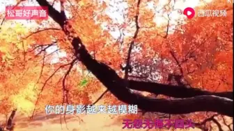 Download Video: 你别走_刘巧巧