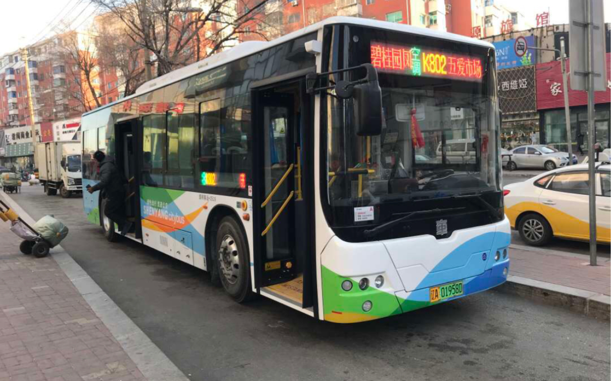 上电视剧的客运班线从湖南杀到辽宁沈阳客运班线k802路五爱市场62