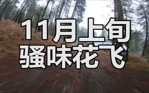 Download Video: 【穿越机】11月最骚花飞合集💋🦵👙【FPV FREESTYLE】