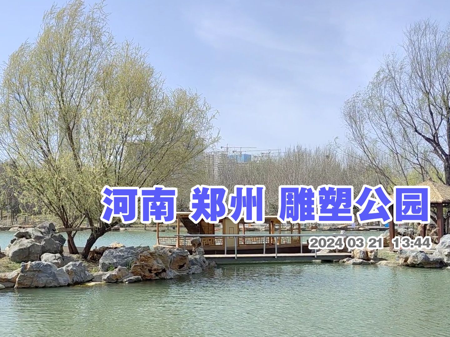 郑州雕塑公园散步游走 湖里面有几只大鹅以及一只黑色的天鹅 数量太少