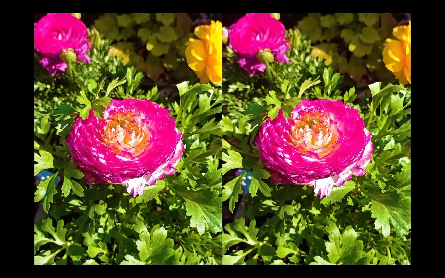 【平行3d】裸眼3d平行眼相册