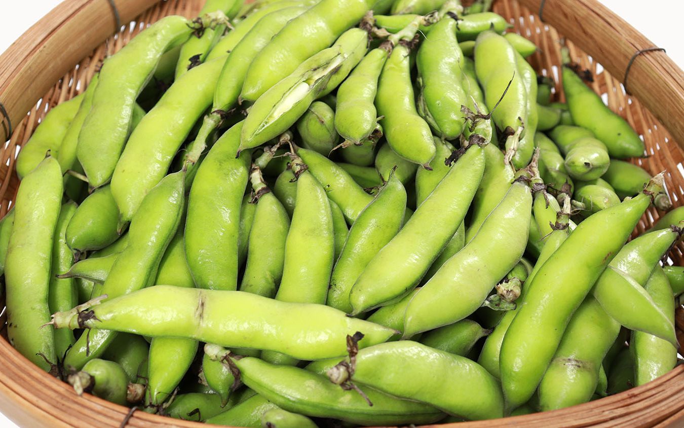 2种保存胡豆的方法,不焯水,也不保存生的,这样放一年都新鲜