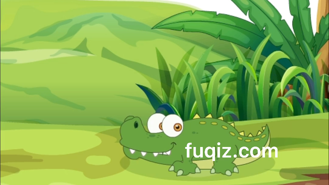 夫妻工作室动画制作鳄鱼为什么会流泪