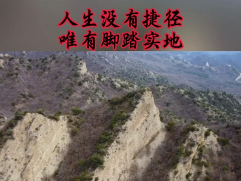 你的人生没有捷径,唯有脚踏实地的努力前进 #知识分享 #商业思维