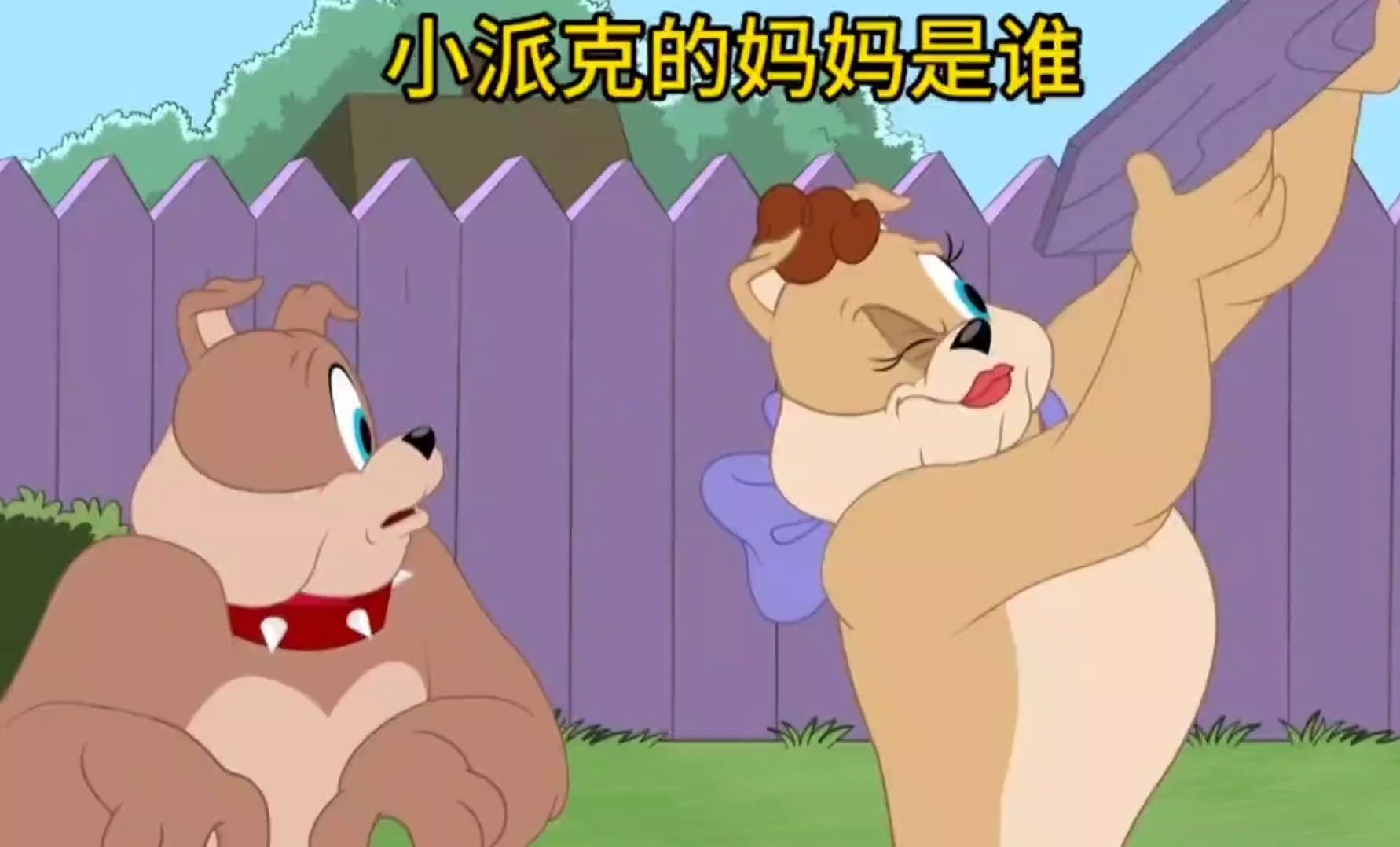 小派克的妈妈是谁呀?#动漫视频 #动画视频 #猫鼠 #猫和老鼠