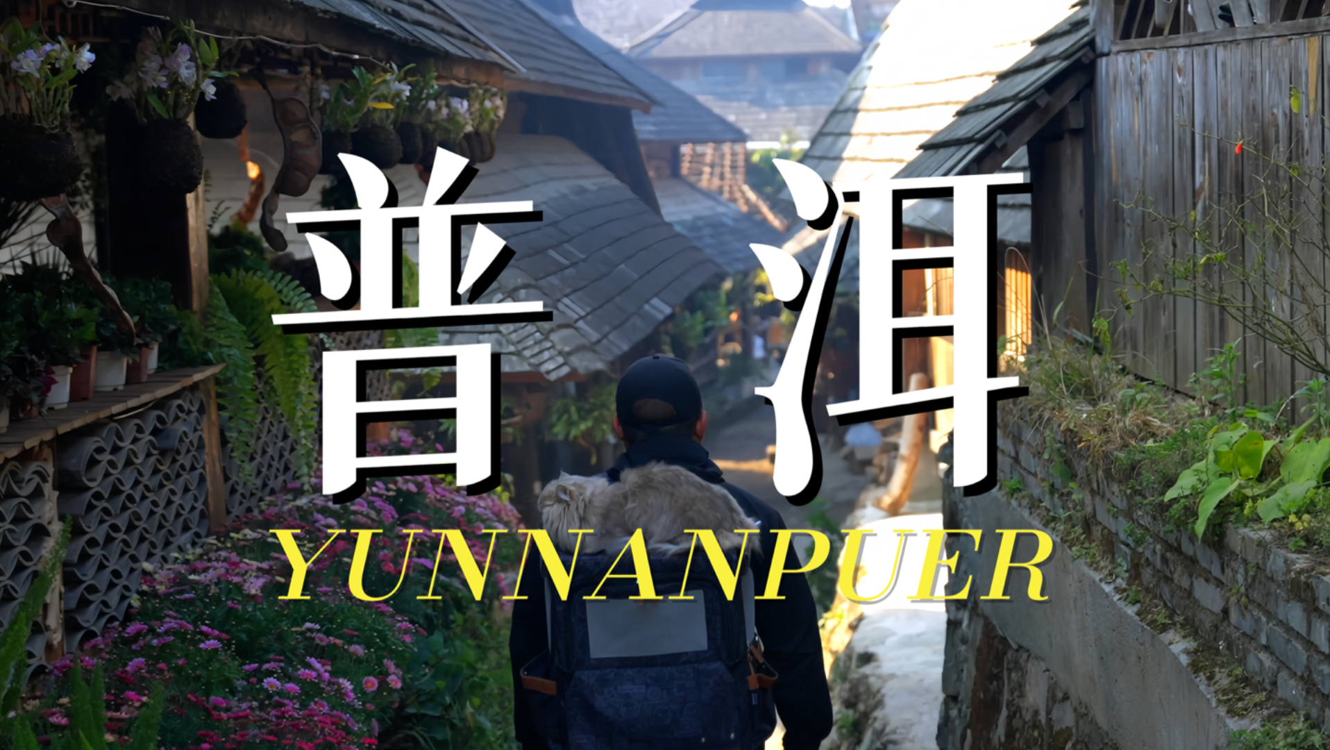 云南普洱真的是一座巨好吃和超好玩的城市，本期视频就让我带你看看我认为好吃和好玩的地方！