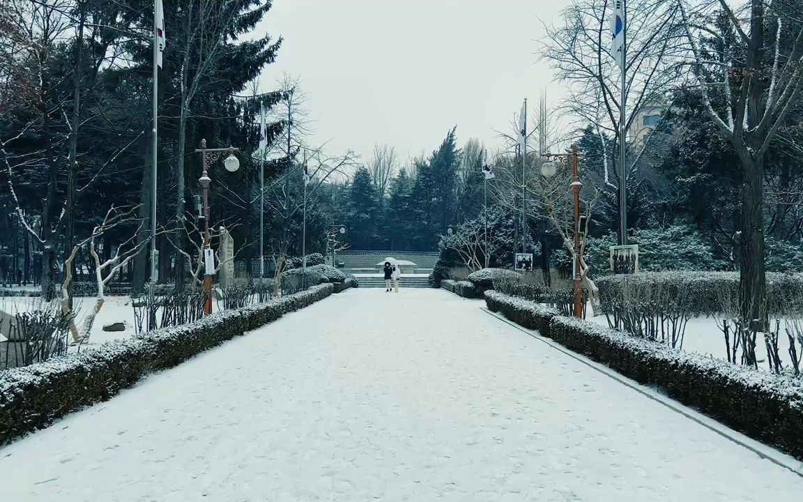 [图][4K SEOUL]-下雪天去狎鸥亭洞??? I go to Apgujeong-dong on a snowy day ??? 还有下雪的话要订阅