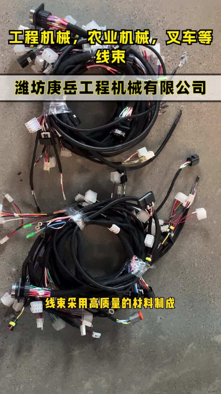 T5G Cab Harness Connection Detail