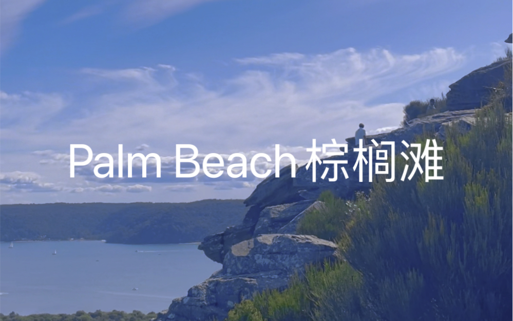 palm beach 棕榈滩【打卡】哔哩哔哩bilibili