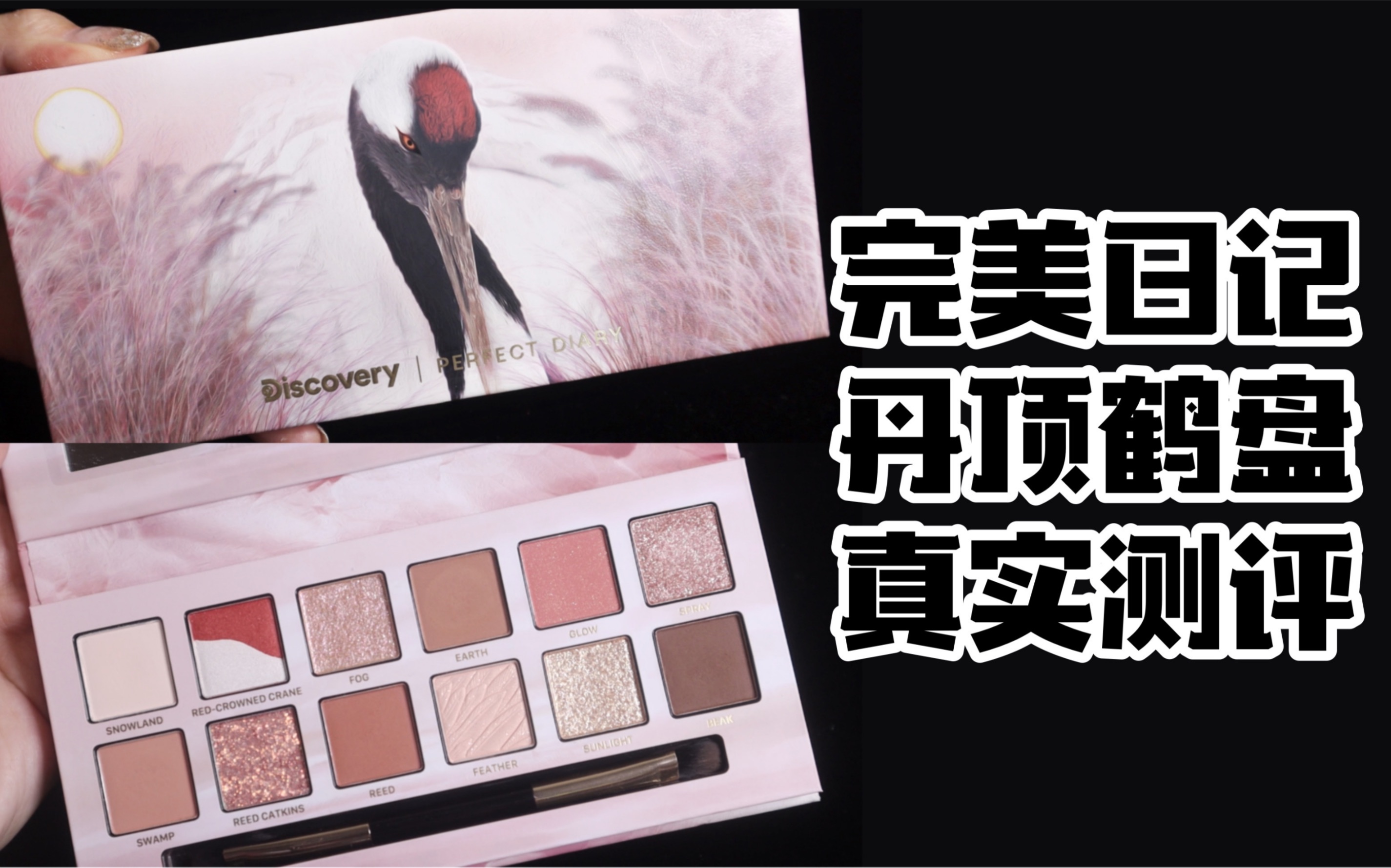完美日记丹顶鹤盘真实测评!不吹不黑,我更喜欢锦鲤盘