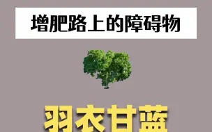 Video herunterladen: 增肥路上的障碍物——羽衣甘蓝