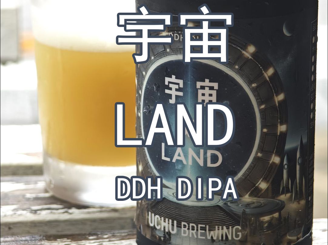 【啤酒试喝】【宇宙】大地 DDH DIPA哔哩哔哩bilibili