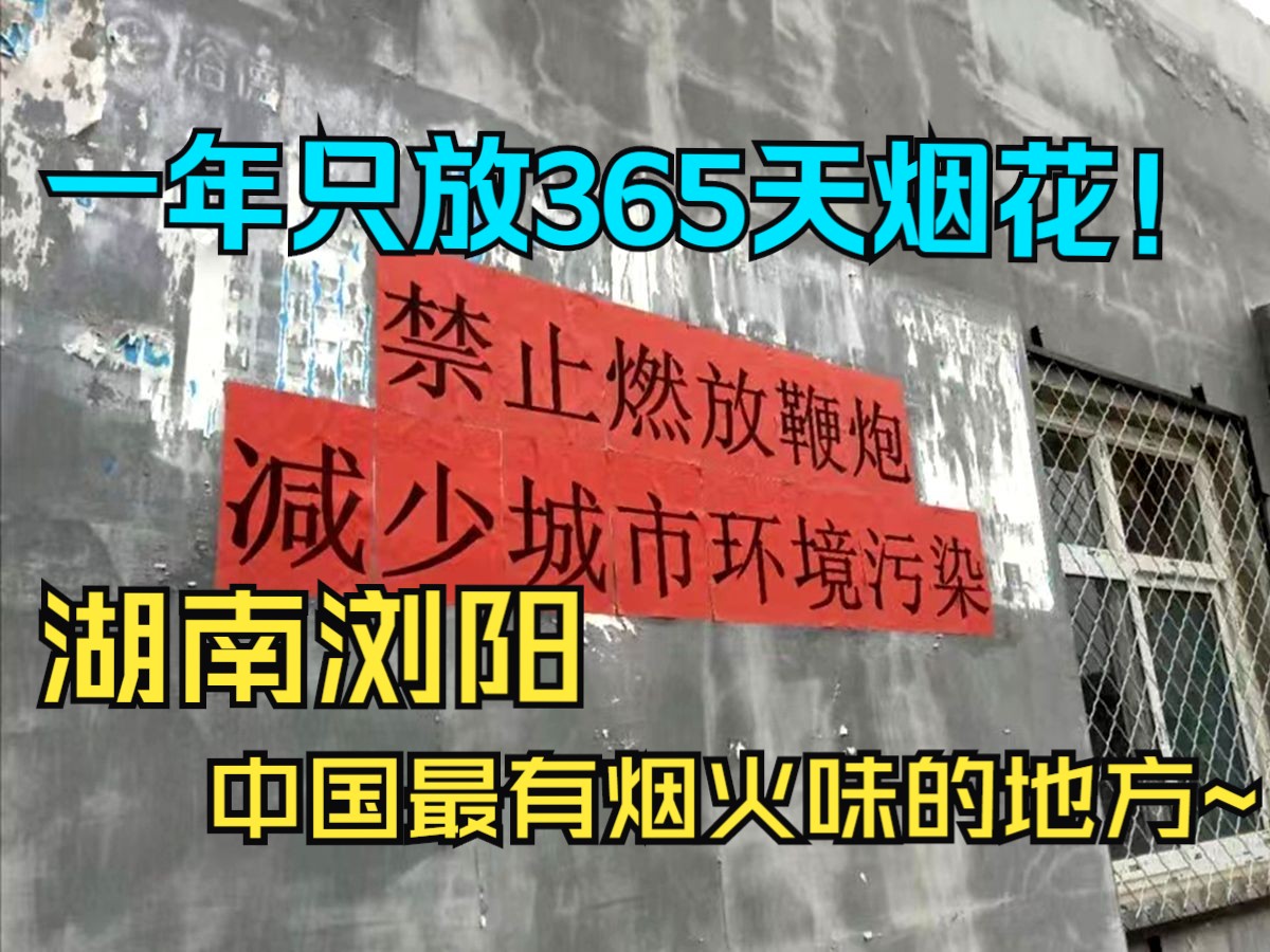 全国禁鞭一刀切!为何湖南浏阳敢逆势而行?堪称用实力打脸哔哩哔哩bilibili