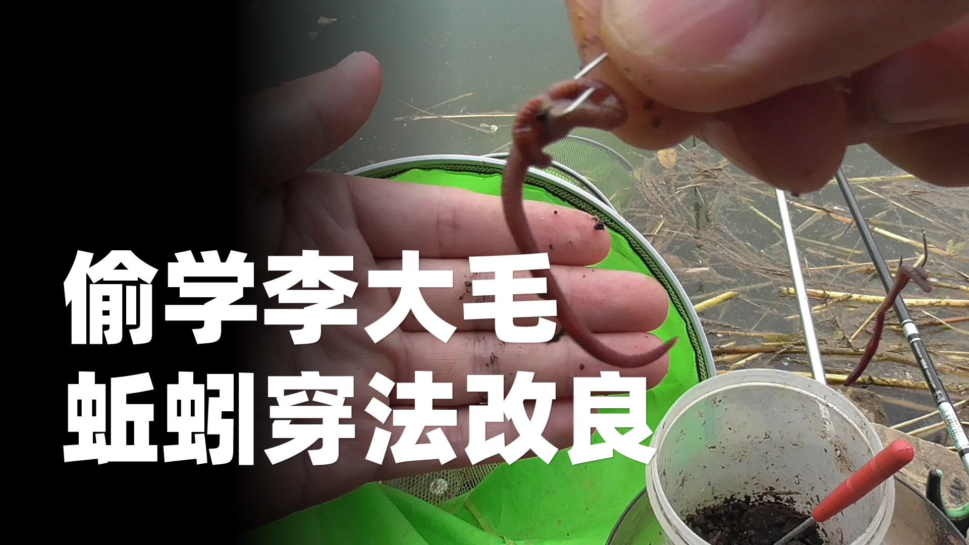 河边偷学的!李大毛老师蚯蚓穿法改良版