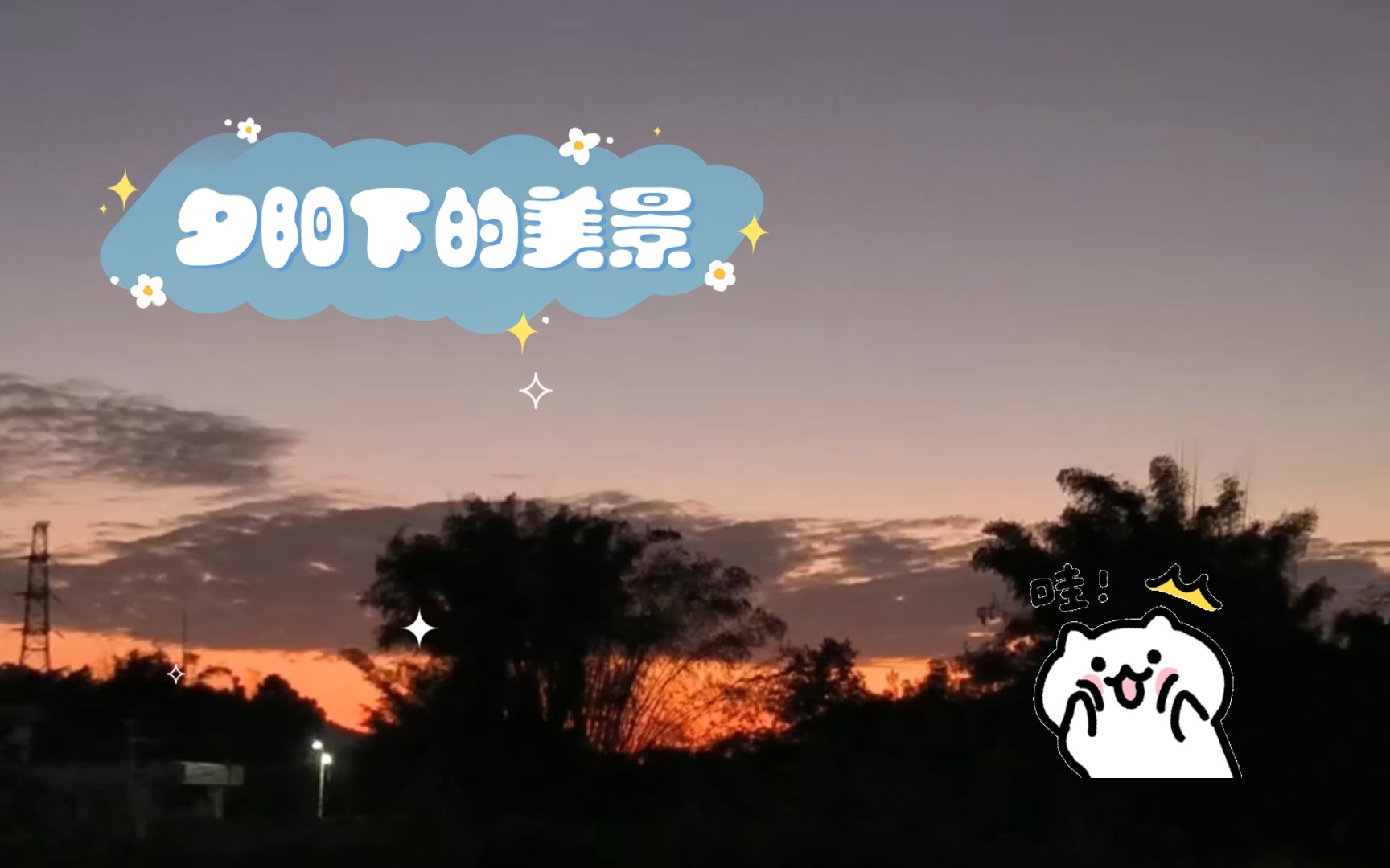 夕阳下的美景哔哩哔哩bilibili