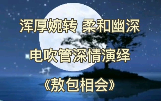 [图]浑厚婉转柔和幽深的电吹管曲《敖包相会》